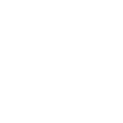 Delish Pizza